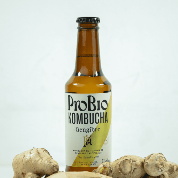 ProBio Kombucha Gengibre 275 ml